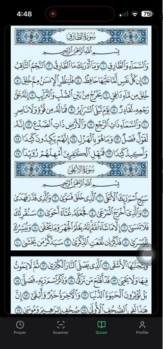PureDeen Quran tab showing mushaf reading view